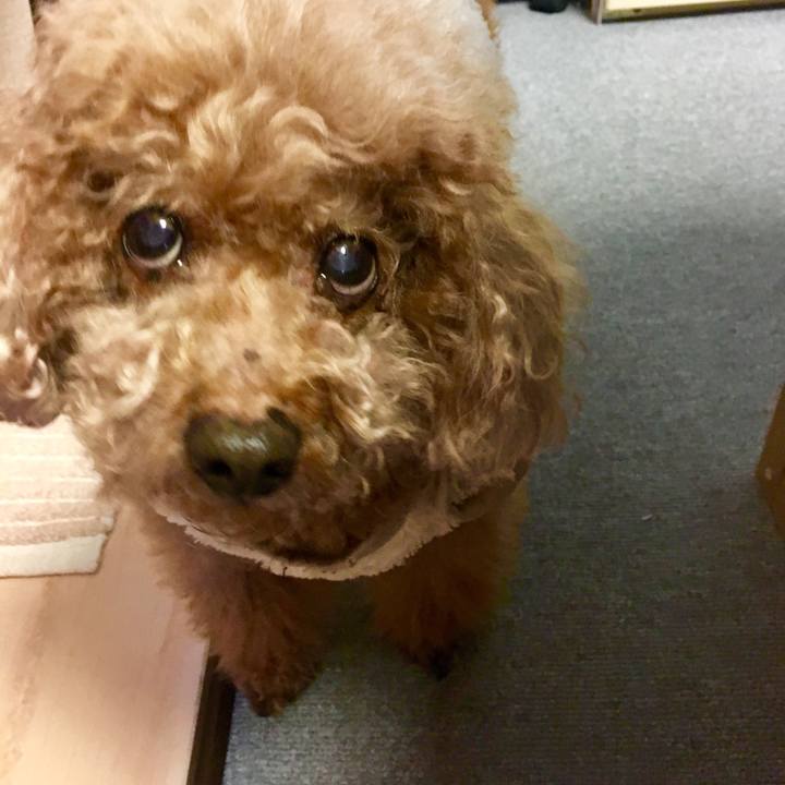 8aa64f61 3787 4bf3 b6db 126492f876f7