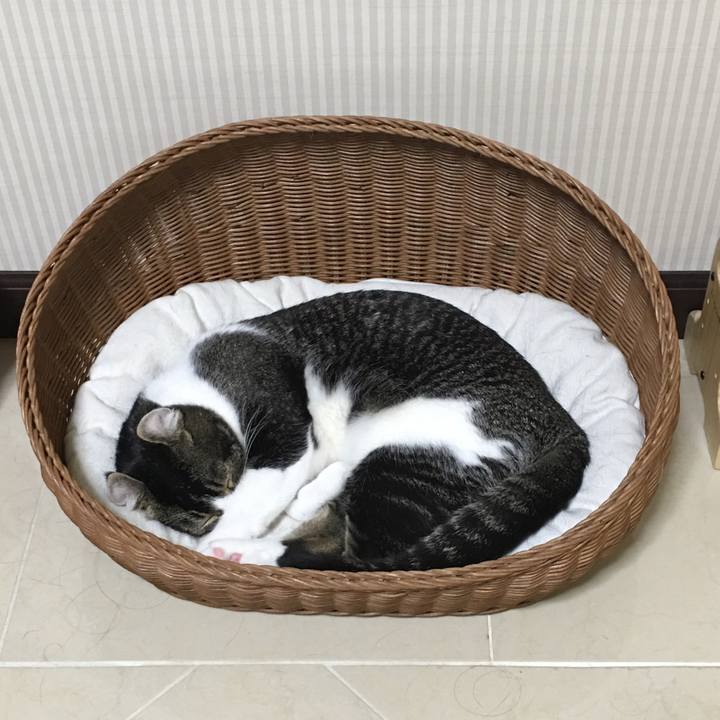 8aa69621 c481 441c b3c9 aca234e3b0e3