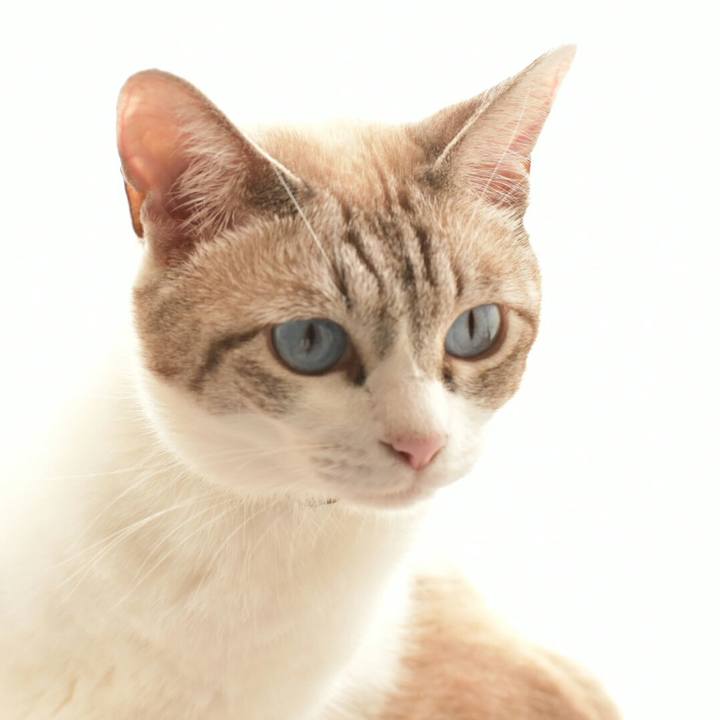 8aa70ff9 dd89 4c94 83eb 4253fd78f701