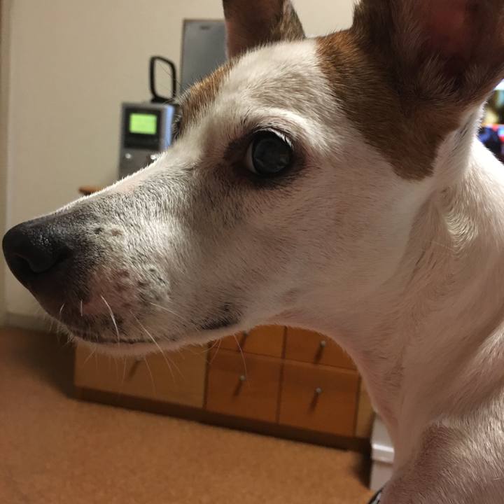 8aa751cd 63f2 4ae6 882d 494f2654c26a