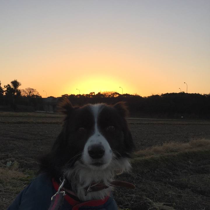 8aa757d1 965a 412d b8a8 5bb684a6e42a