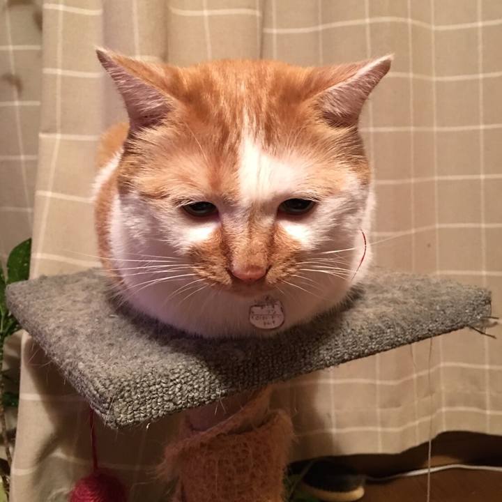 8aa7d28a 66f5 459a ac56 8214e9658ab7