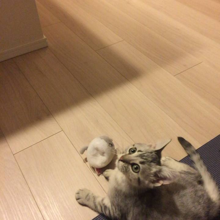 8aa819df 5390 4fd9 a04e 3c187691d801