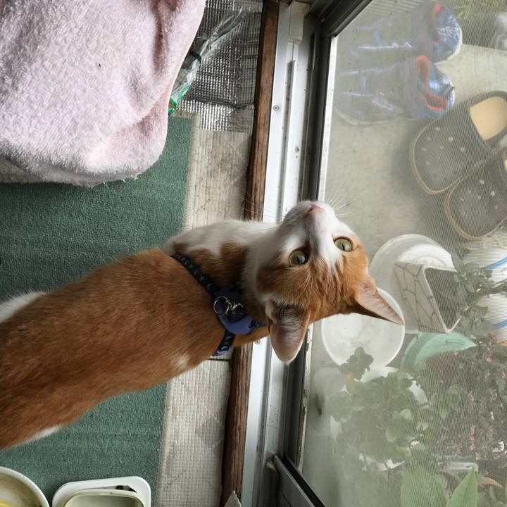 8aaa0fcb 98f6 4f83 82e4 c0d4782d7a5f