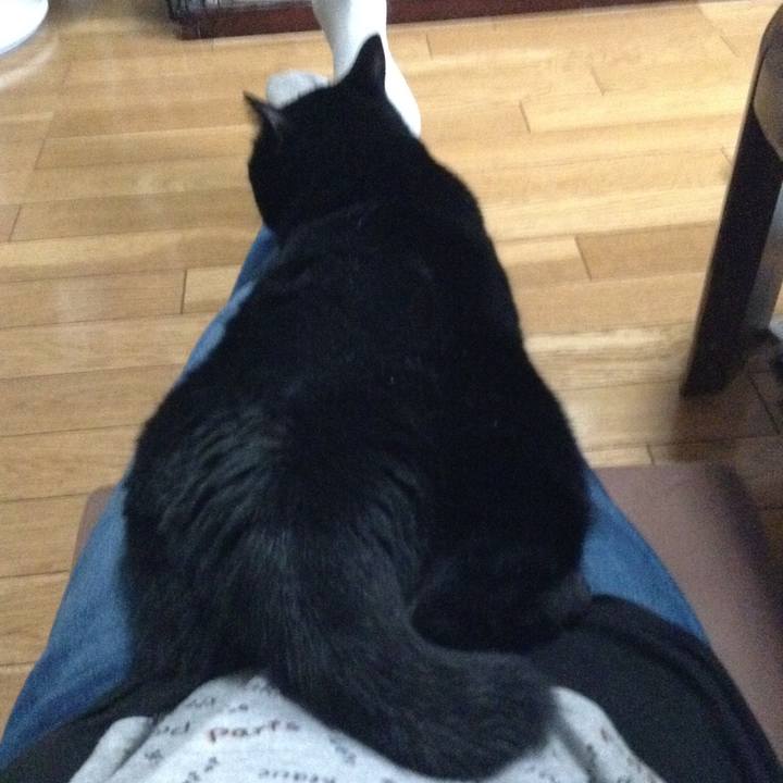 8aaa3313 a4a5 46dc 9320 f193b6e7c7e7