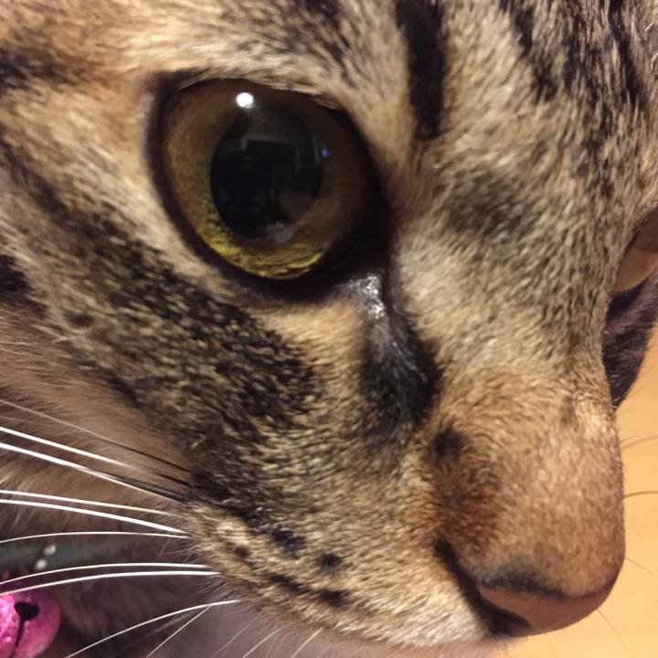 8aaada32 577e 4a18 958c 36518aa36ac2