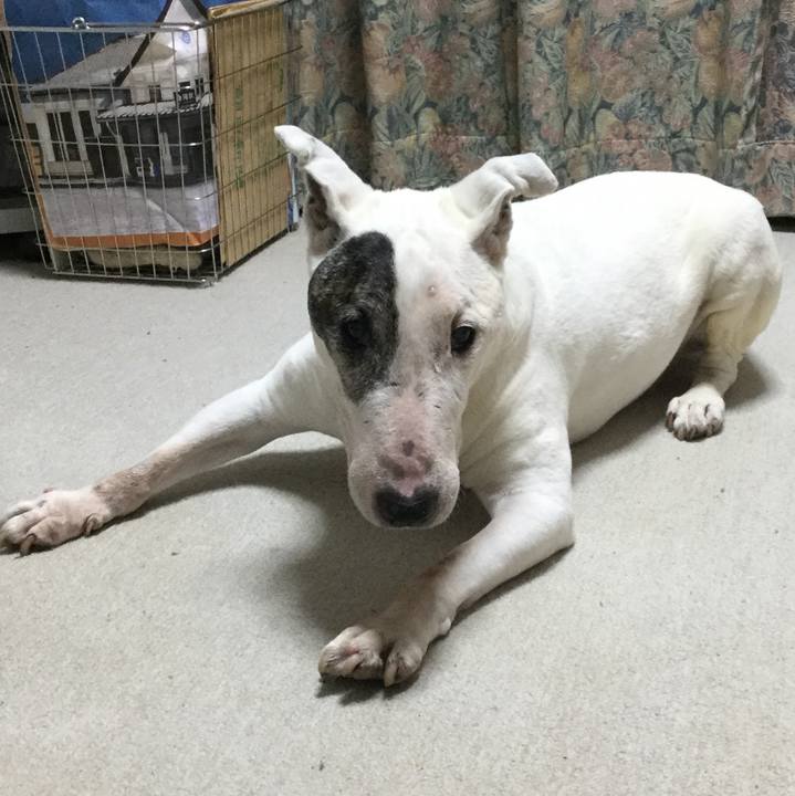 8aaae90c 9ae8 4999 b1b7 78656ec04783