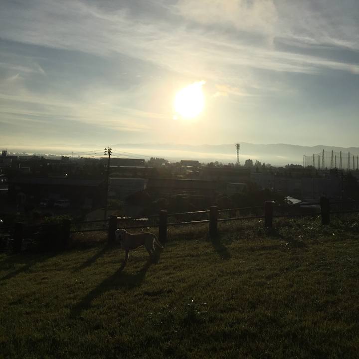 8aacc1d0 9012 4d8f 8925 ecb4e150b045