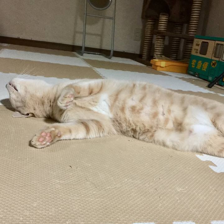 8aad1011 3a2b 437b 8765 c8595a0965e9