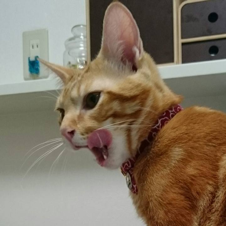 8aad1954 6c23 4f47 922a 7d51cb2bda24