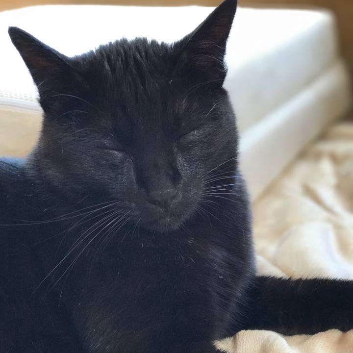 8aad37e3 dd60 4d51 b454 5c57ad6d8258