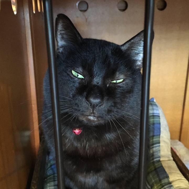 8aad4263 c600 4595 a525 919c88bd2bfc