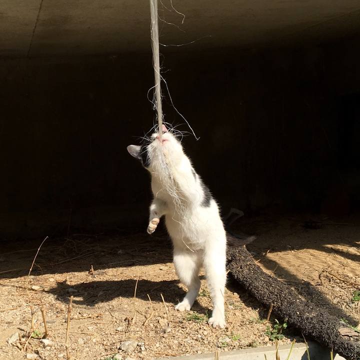 8aad8b9c c3a3 4362 9bfb db8ab674ac80