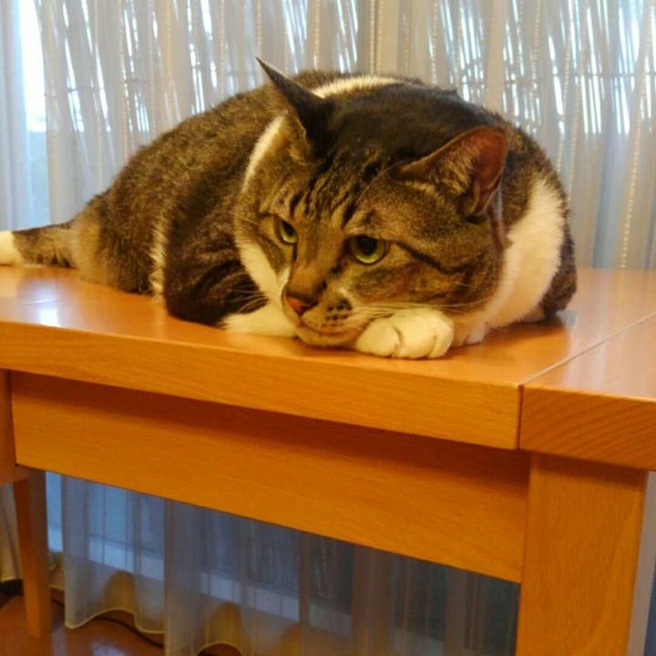 8aadb9a6 bbe6 4a6f 9dc5 b5bcf2ba6a1d