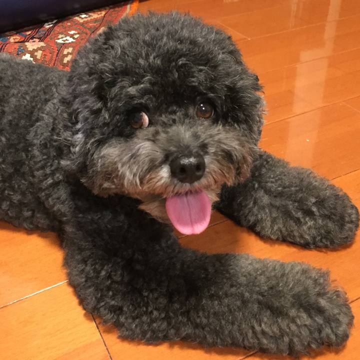 8aadd339 9963 4d14 9945 9baa57ab7768