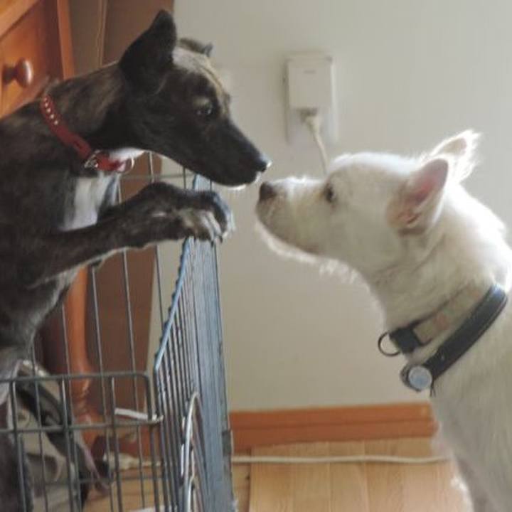 8aadffa6 1e4e 4470 889d 38ede96fa068