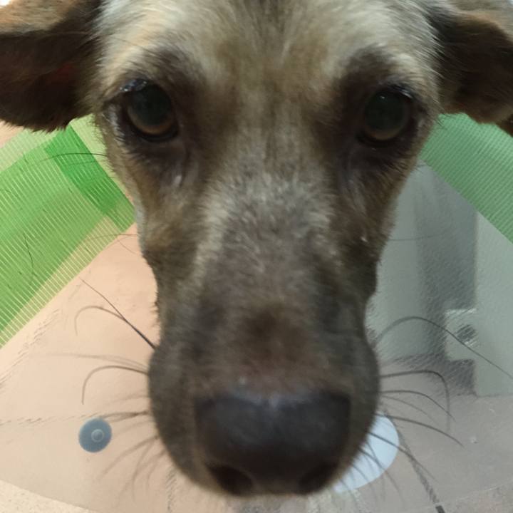 8aae7bcf af4b 4fd1 98b7 da5f6da9bd02