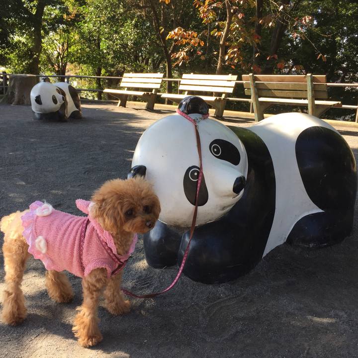 8aaebc94 6baa 47c0 9fb9 532aa3876c12