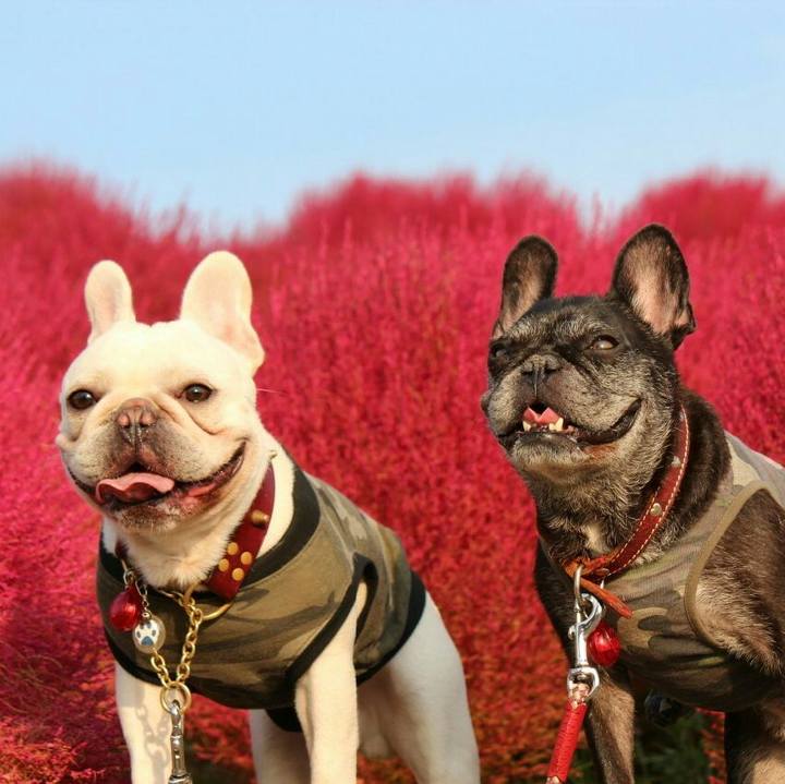 8aafb978 4037 4358 b313 662d3461378d