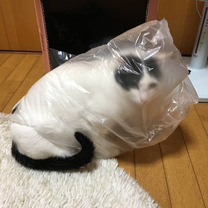 8aafc4b0 eaa7 4f88 80a3 0ab0826bc80b