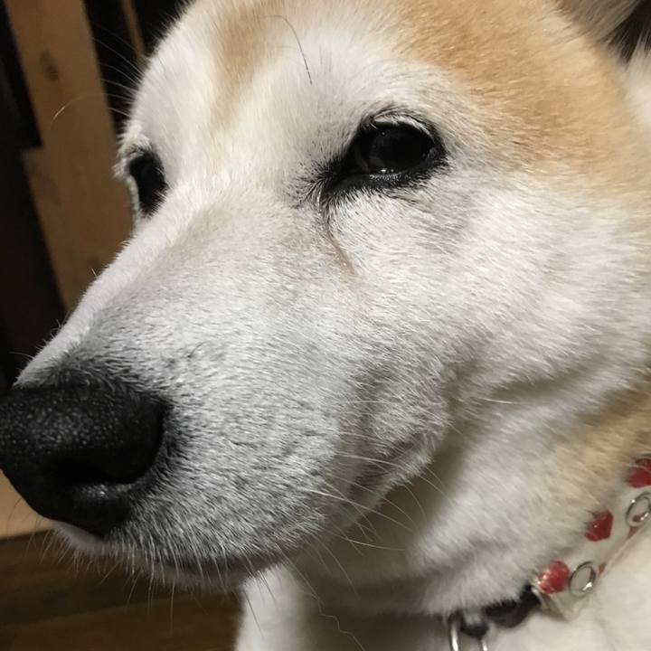 8ab06881 b247 45a5 9cb2 dffb1263e95c