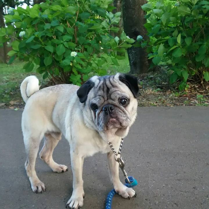 8ab0d15e 723f 4b87 9c35 9c9e1d07c974