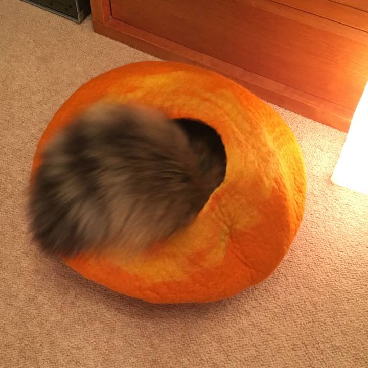 8ab166f4 f2b5 44aa af31 f3b4a8639a5c