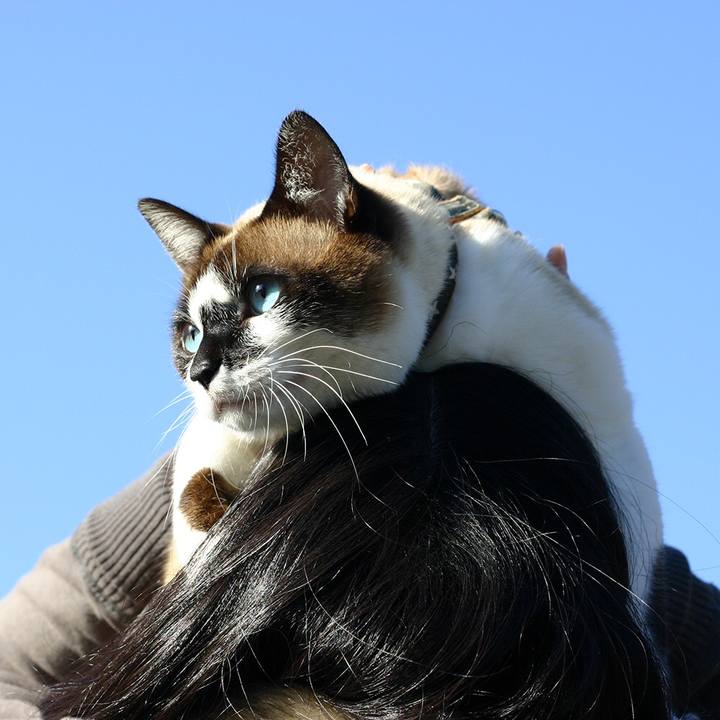 8ab1fac3 5703 4bc3 8c7d 533a64ede1d2