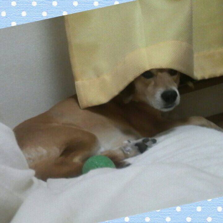 8ab2052d 91ed 498a 8726 47266dc34e59