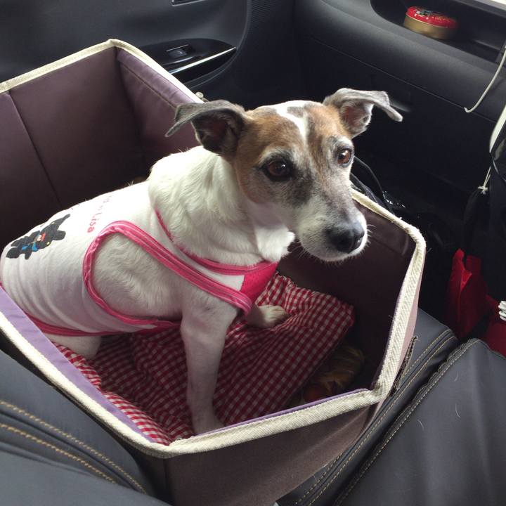 8ab241fa 48e7 4793 b6dc 948905fe24a7