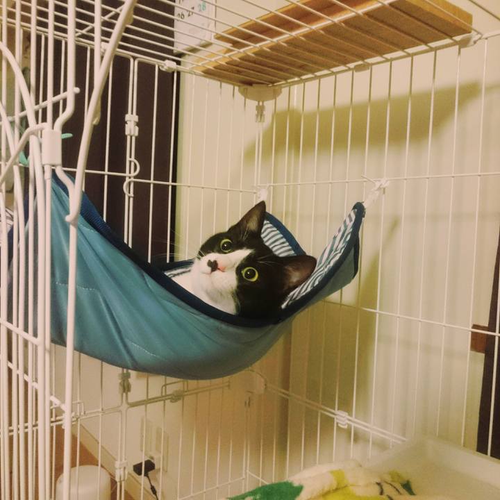 8ab2bbe4 8faa 4f11 9e39 ce01a690eda1