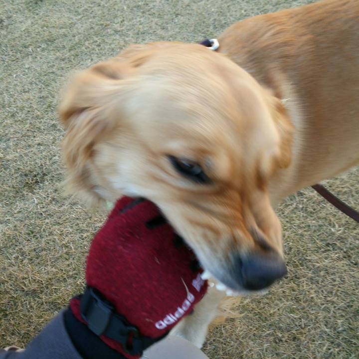 8ab3b458 5f59 4ebd 871f 654302fa0555