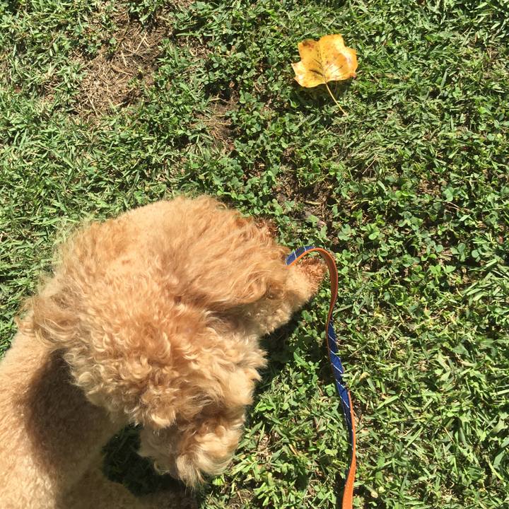 8ab3bdcd c069 44cd 8e3a a78a5dcb07a7