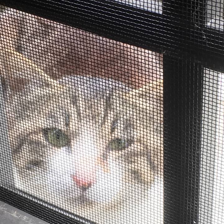 8ab41dc0 ef13 4bee 8bd2 3e4febc3b84e