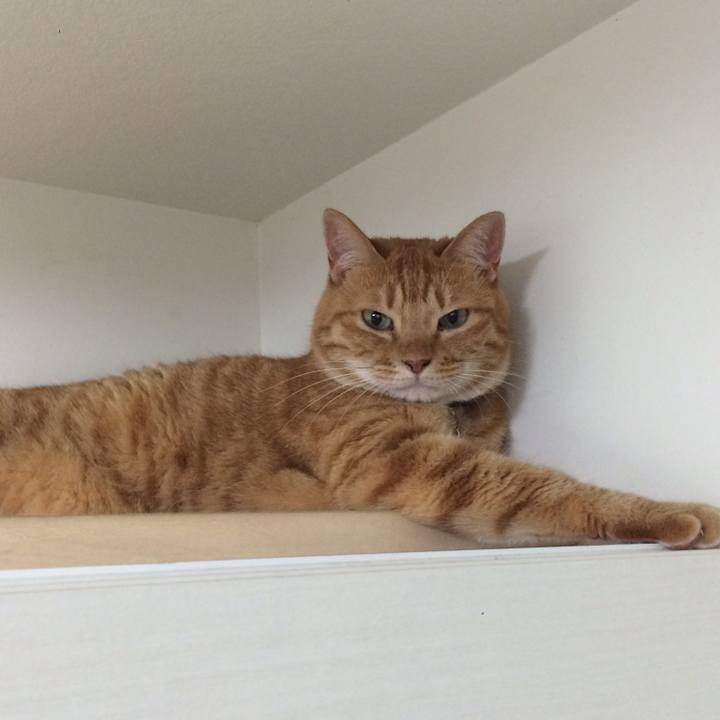 8ab4e74f 8566 4f1e bfec e9c45da499b1