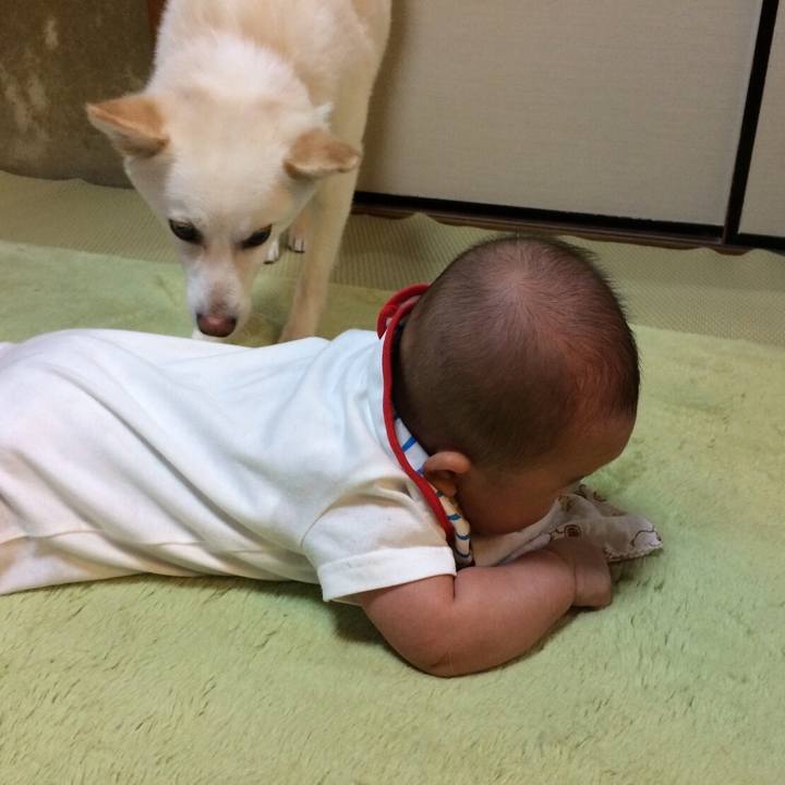 8ab50796 8379 48f8 b53c c8ab4890b1e8