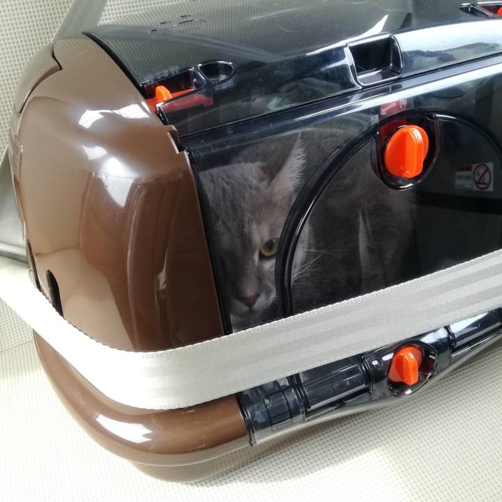 8ab632a1 d999 4f0d 90a1 daebed957aec