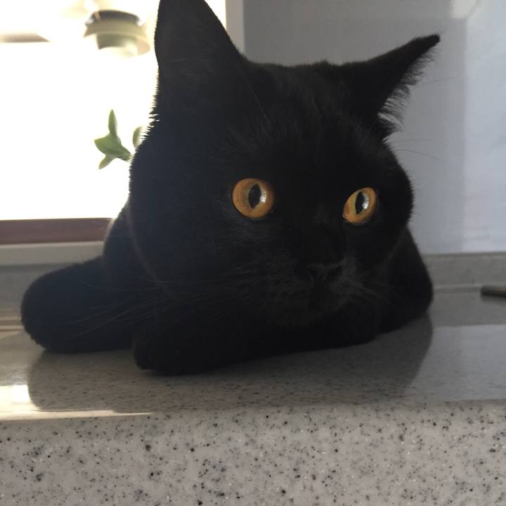 8ab6b3a5 ee39 460b ab98 8757bbd061f1