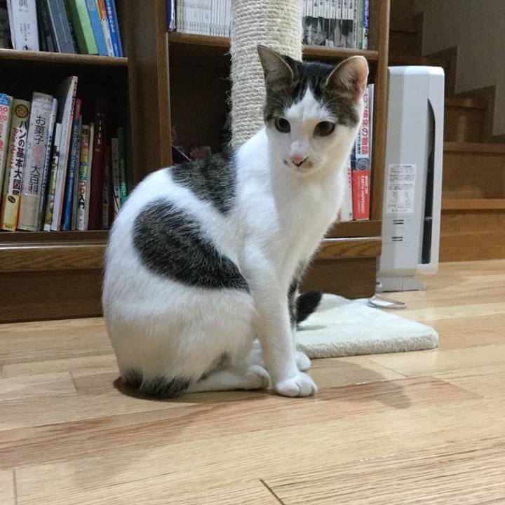 8ab76ef2 91af 4592 a80d 39747ca9bcc9