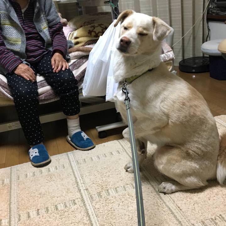 8ab802a8 3daf 452a a618 bd7902cb084b