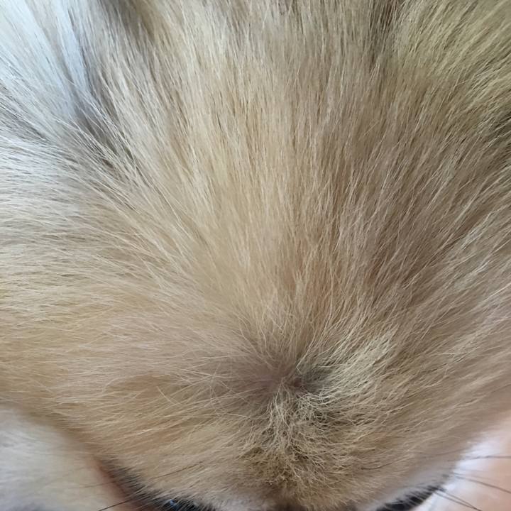 8ab80e57 88ff 473b bf38 65713c6b4324