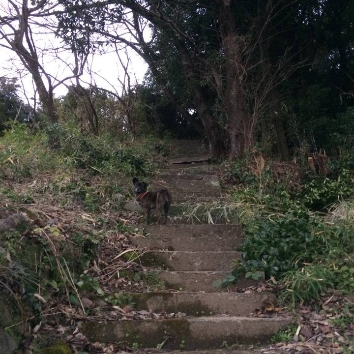 8ab81cb3 afb7 4ada 8f7e 453c777eb293