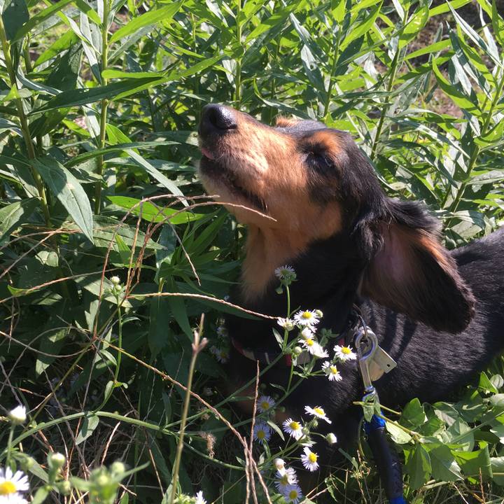 8ab8a229 496e 4f9d a20a 4559f7acfbce