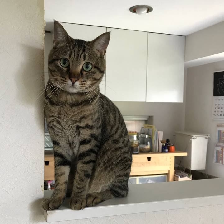 8ab9c146 3366 4d53 a157 3b9480137b50