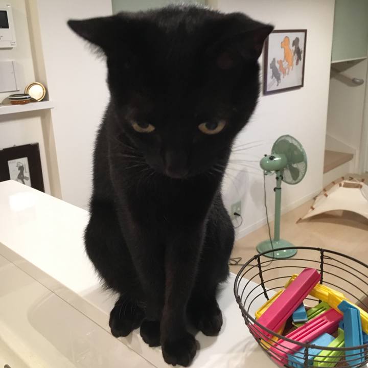 8aba4496 a603 4748 855c 9c17e3b2e6e5