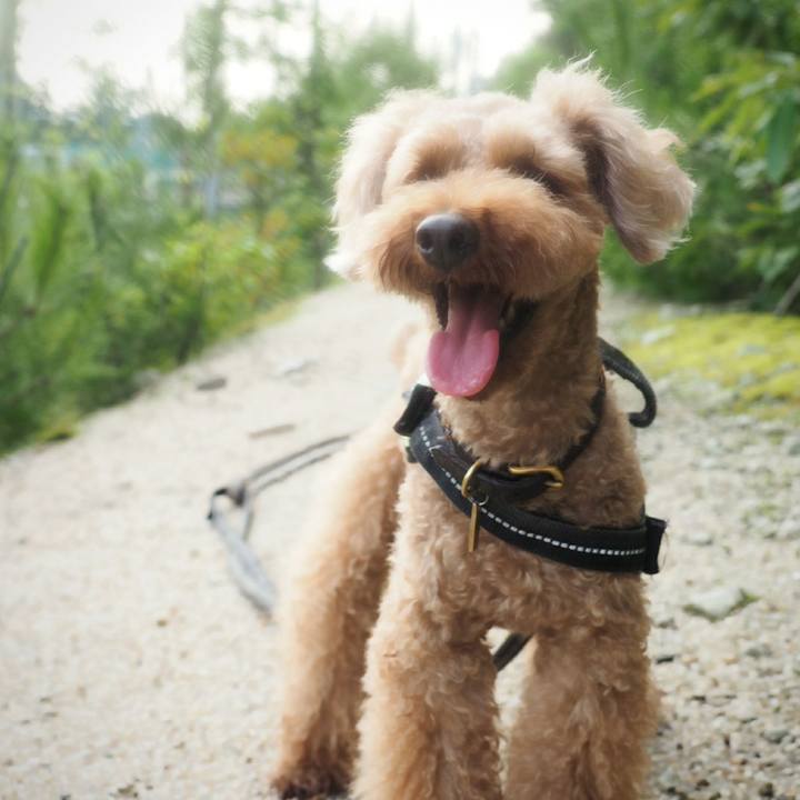 8aba7600 a897 4eb6 b5a6 dac90aec76d2