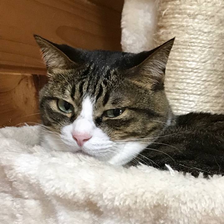 8abadd59 384d 4a6d 83b3 29f37a7ba113