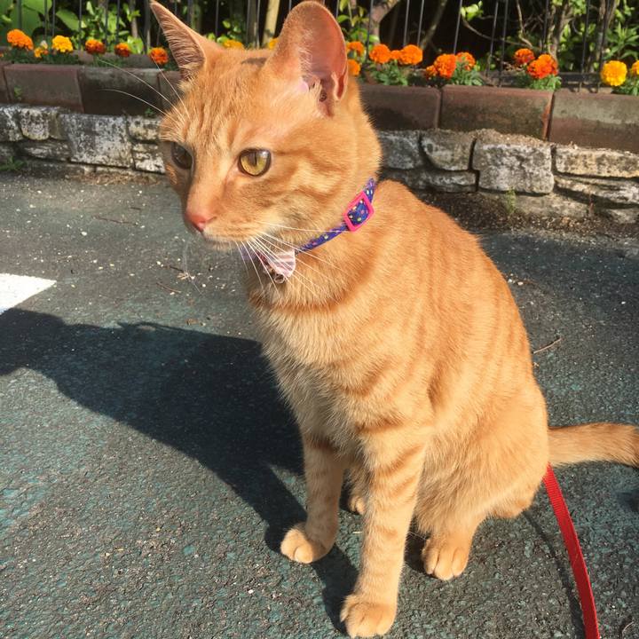 8abaef1f 5edd 4a3e 8331 b1fbc5a1a249