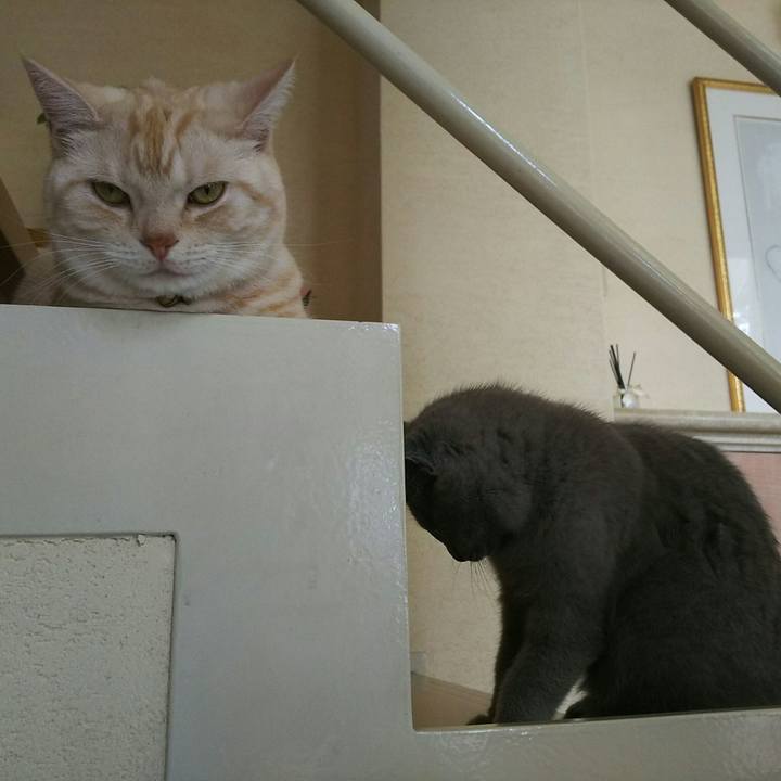 8abb8d86 a590 4d98 aac4 625ae05854ed