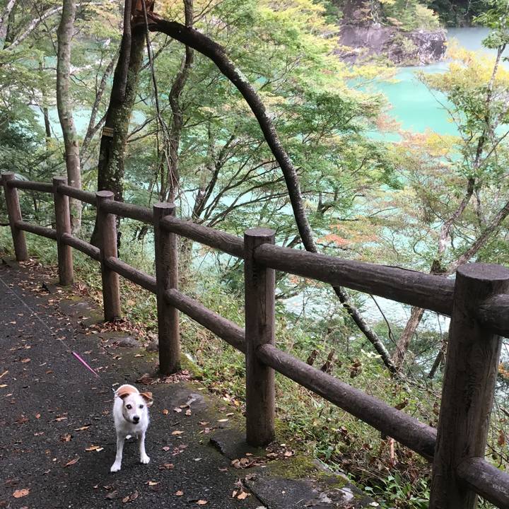 8abbf441 3b3d 42db ab51 900edb55f361